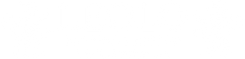 Leolo Shoes