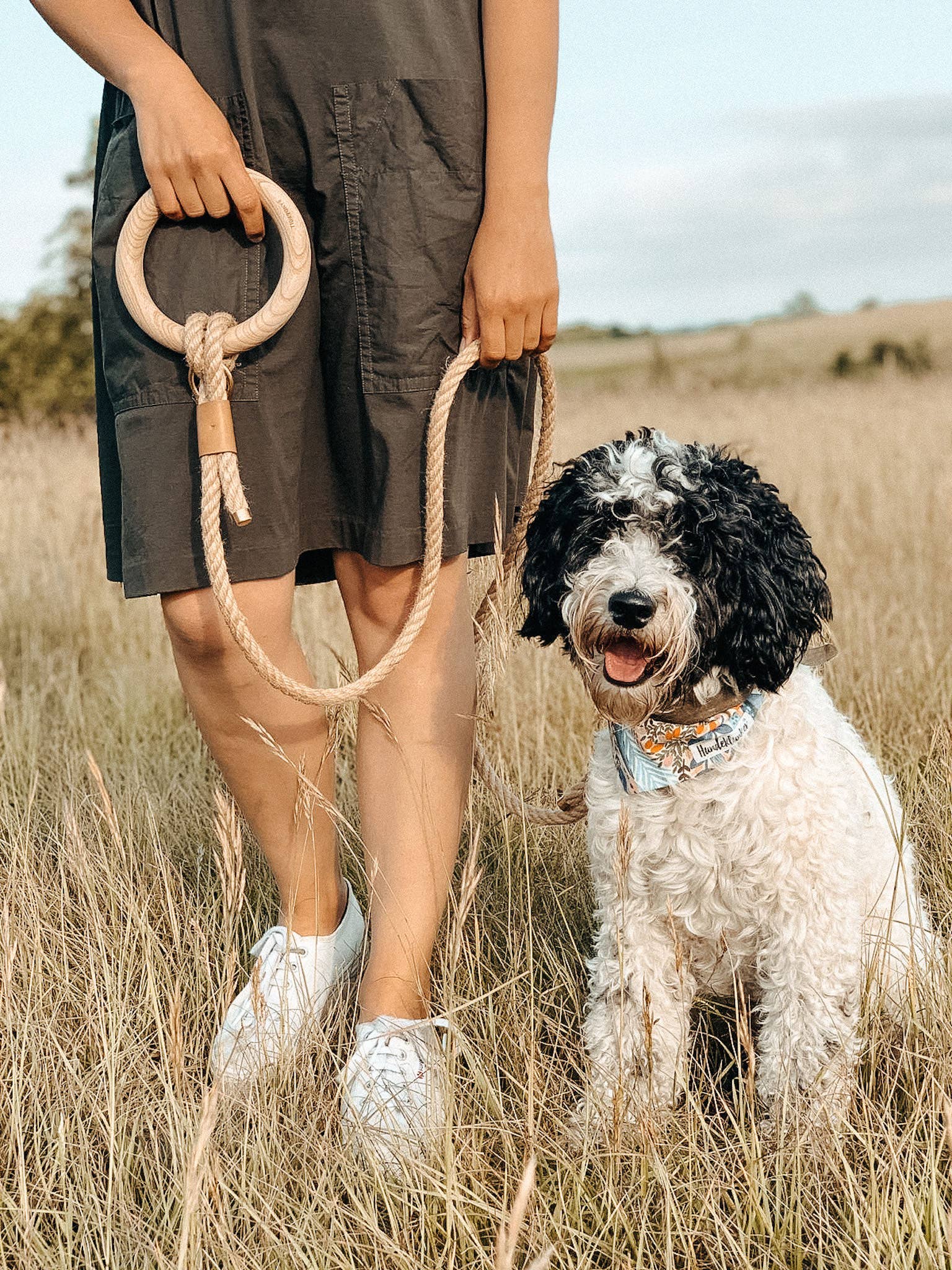 Taupe leash - Taupe leash for dogs