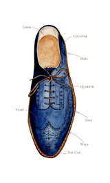 Custom Shoe Order